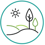 DECOBUG ICONS-REAL & ARTIFICIAL TURF LAYING