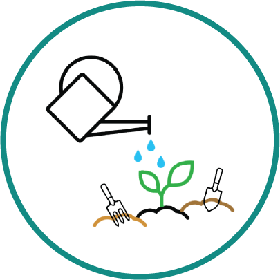 Garden Beds & Planting